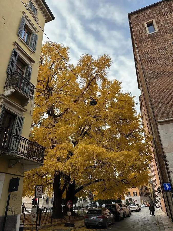 Domus Largo Pescheria Verona 0*,